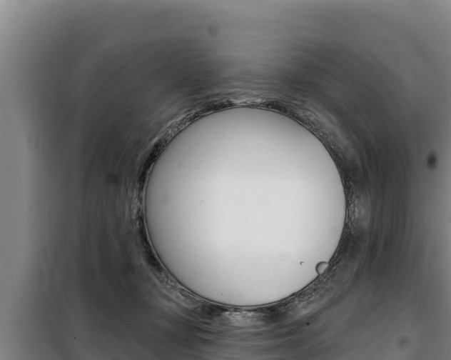 X0000098080367200804040757