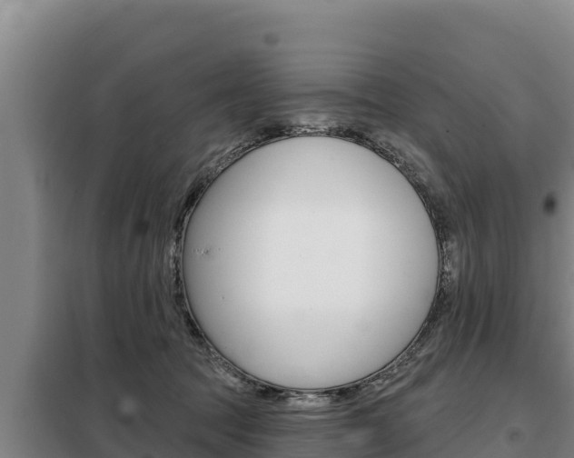 X0000098080369200804040757