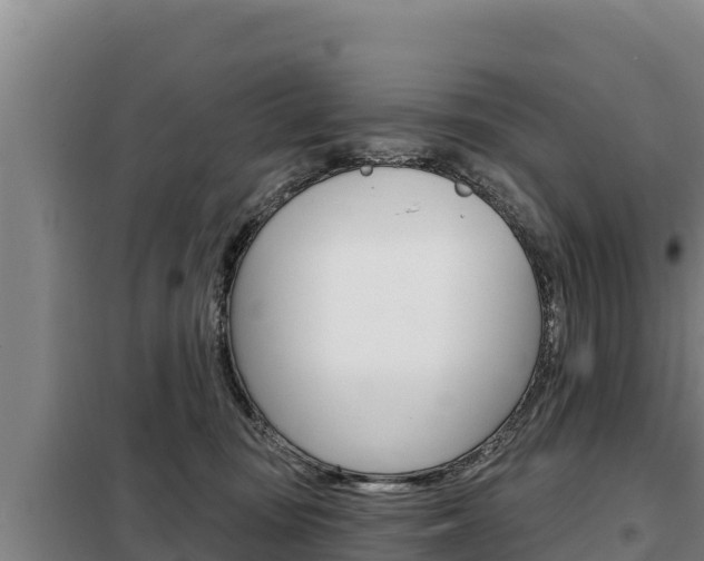 X0000098080371200804040757