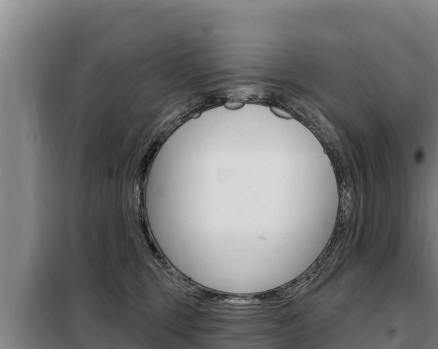 X0000098080375200804040757