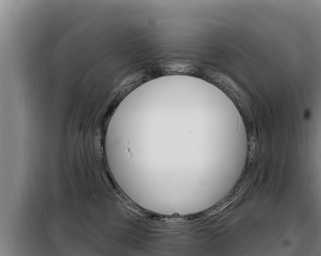X0000098080377200804040757