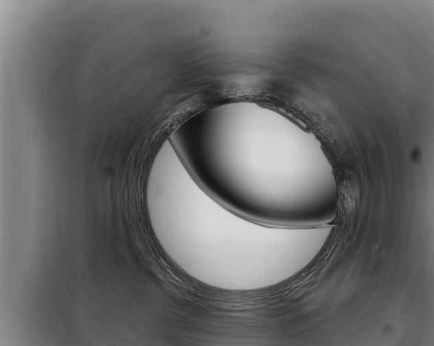X0000098080380200804040757