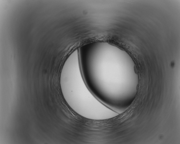 X0000098080384200804040757