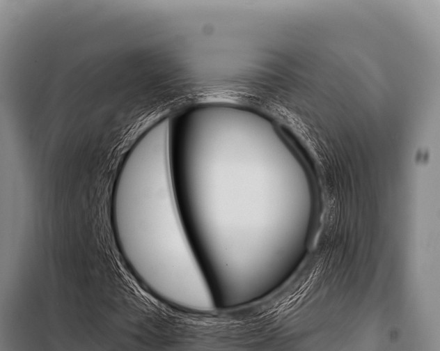 X0000098080385200804040756