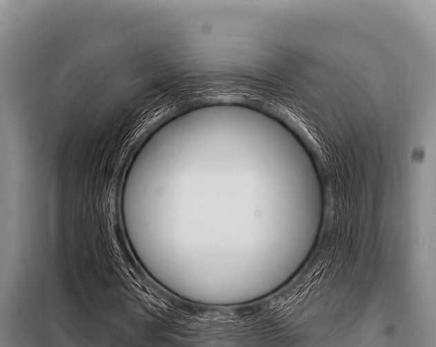 X0000098080386200804040756