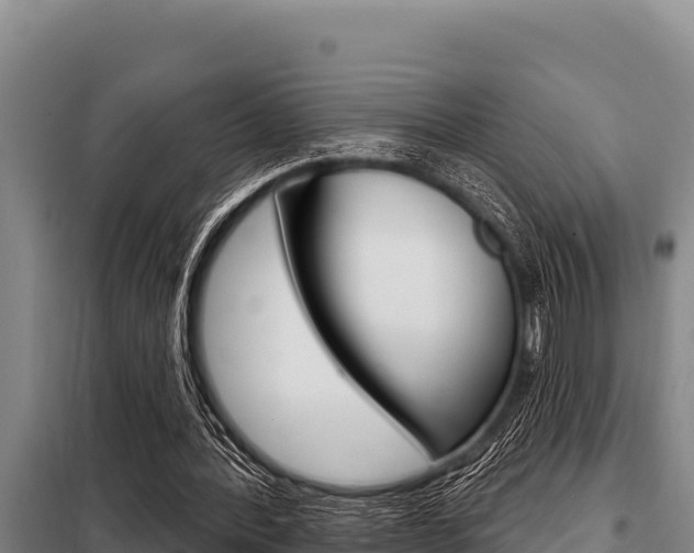 X0000098080388200804040756