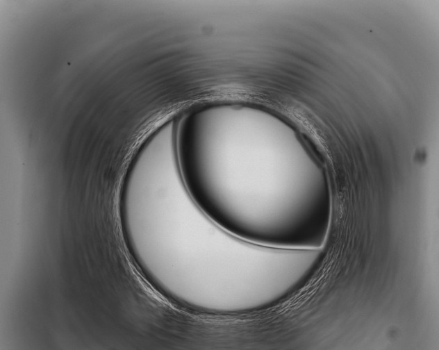 X0000098080389200804040756
