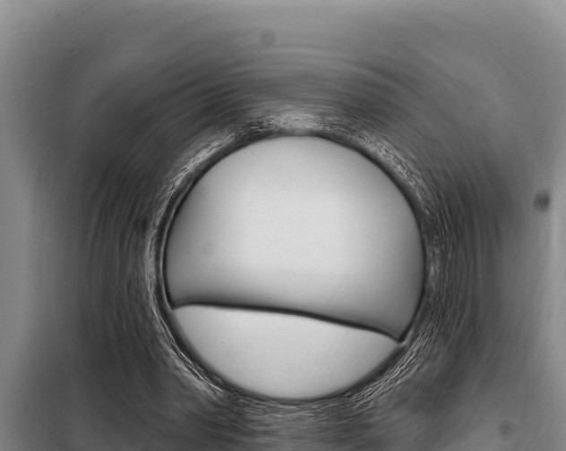 X0000098080390200804040756