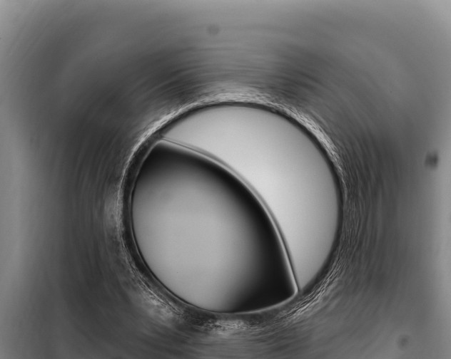 X0000098080391200804040756