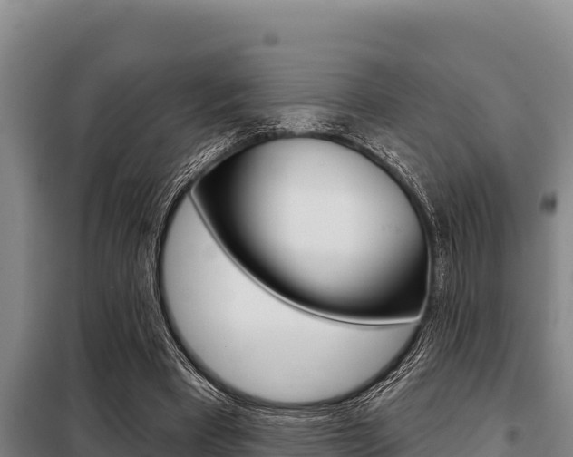 X0000098080393200804040756