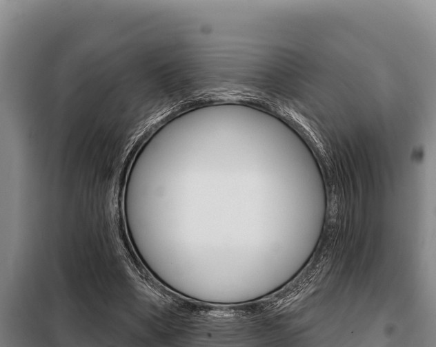 X0000098080394200804040756