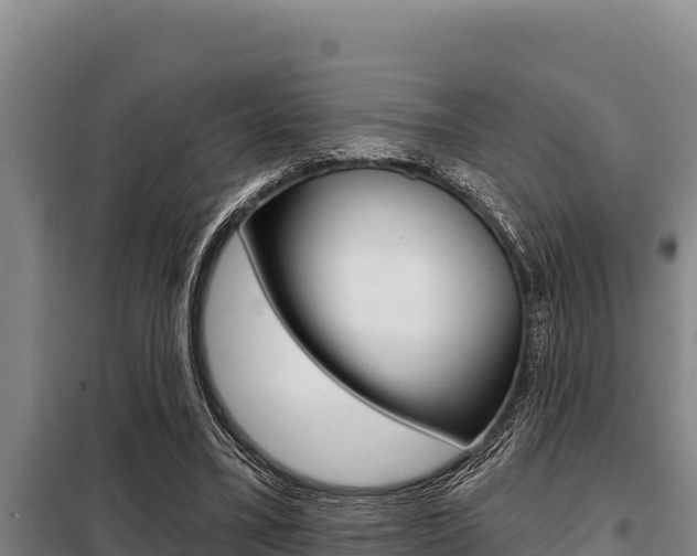 X0000098080395200804040756