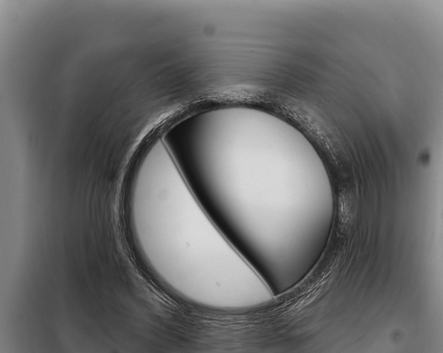 X0000098080396200804040756