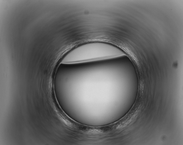X0000098080397200804040756