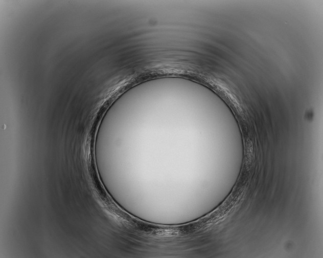 X0000098080398200804040756