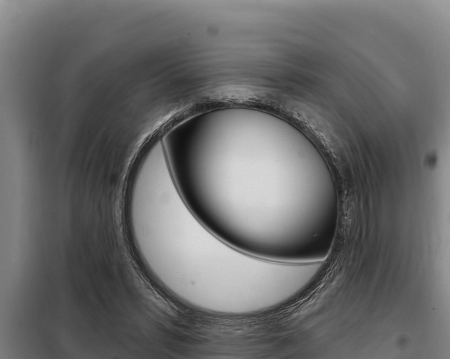 X0000098080399200804040756