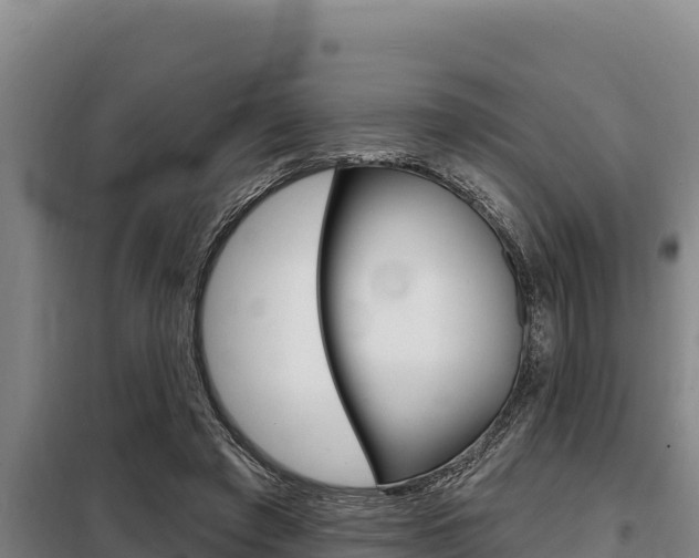 X0000098080401200804040756