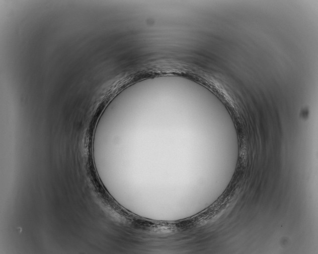 X0000098080402200804040756