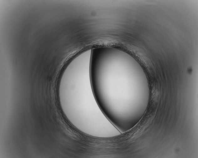 X0000098080403200804040756