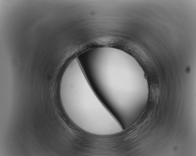 X0000098080404200804040756