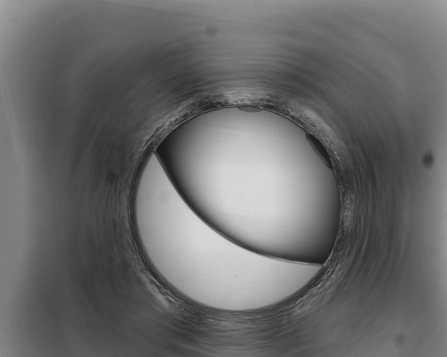 X0000098080405200804040756