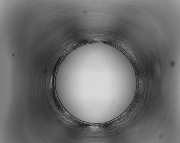 X0000098080406200804040756