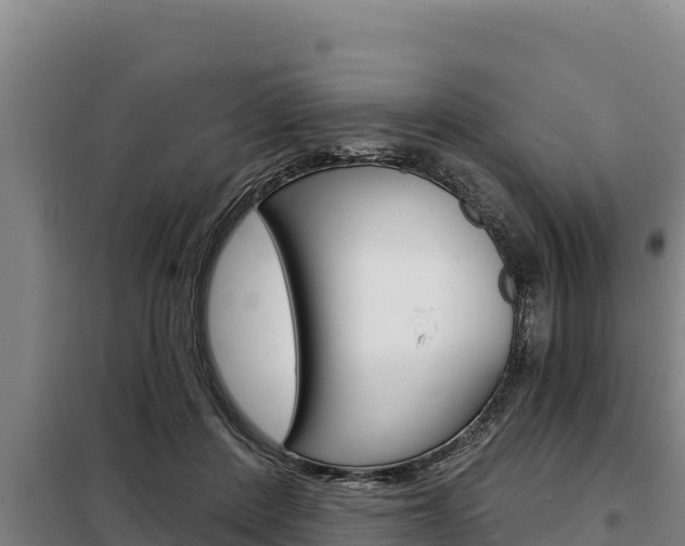 X0000098080408200804040756