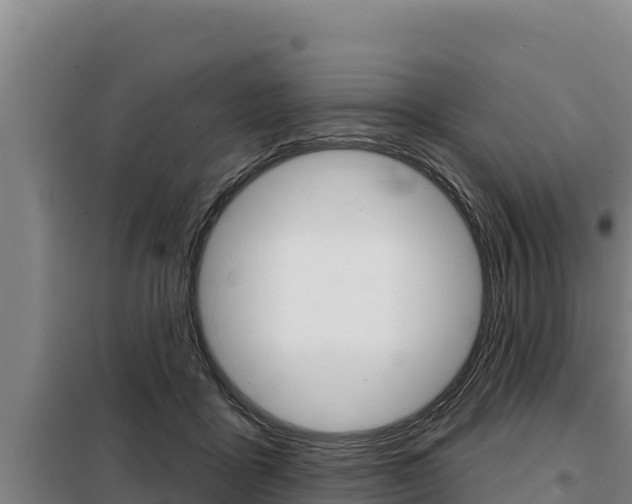 X0000098080411200804040756