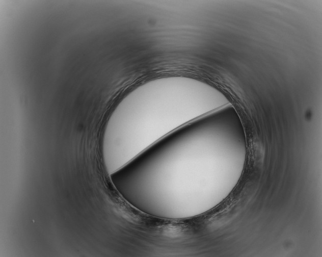 X0000098080412200804040756