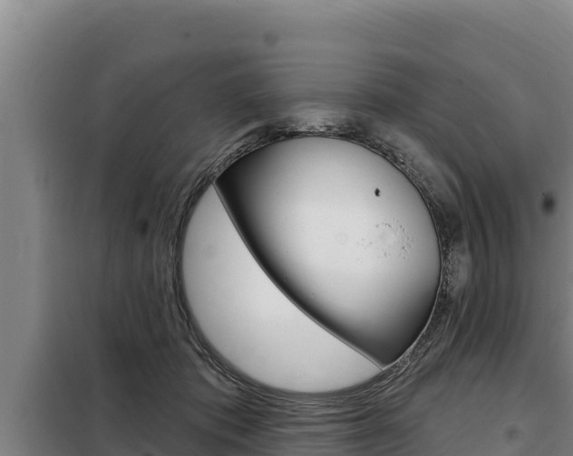 X0000098080413200804040756