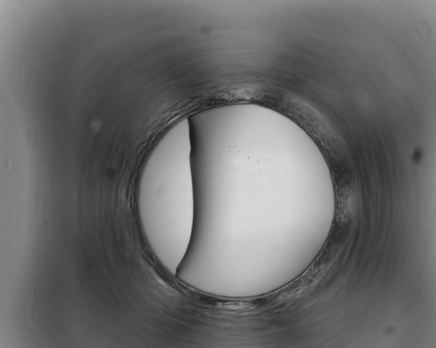 X0000098080414200804040756