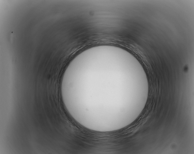 X0000098080415200804040756