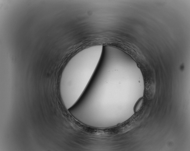 X0000098080416200804040756