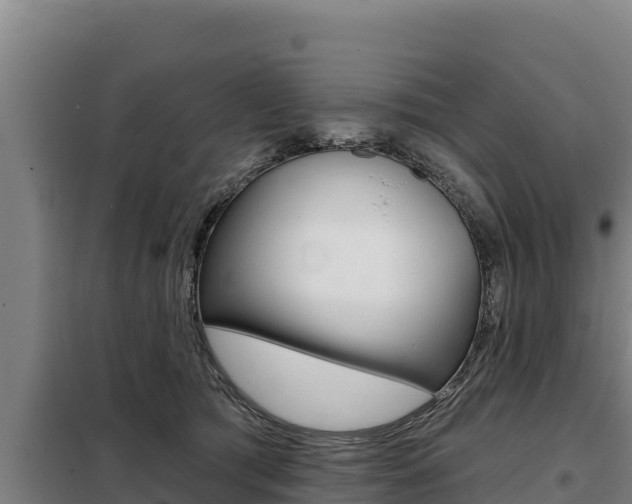 X0000098080417200804040756