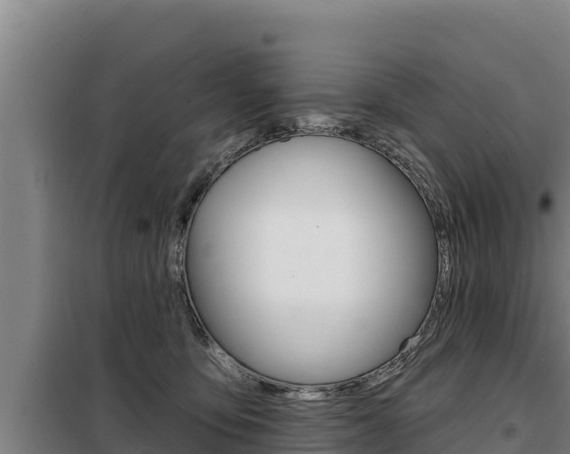 X0000098080419200804040756