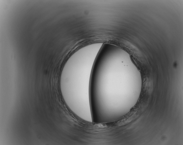 X0000098080421200804040756