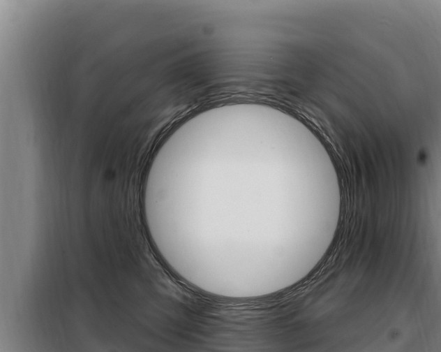 X0000098080423200804040756