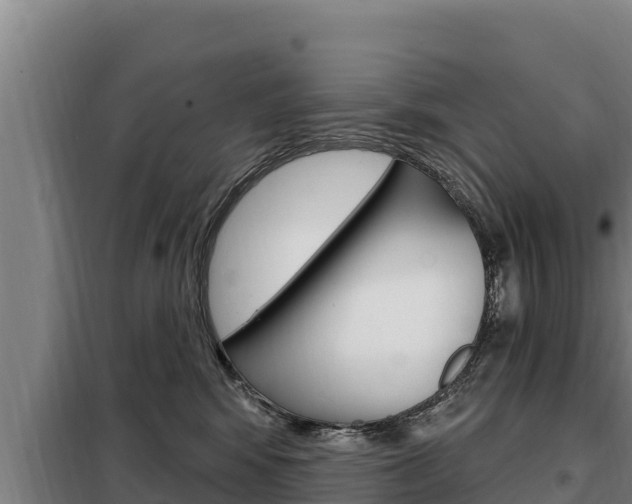 X0000098080424200804040755