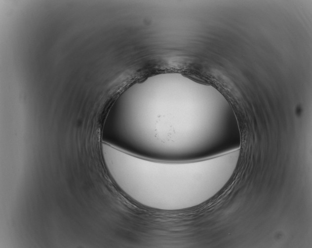 X0000098080425200804040755