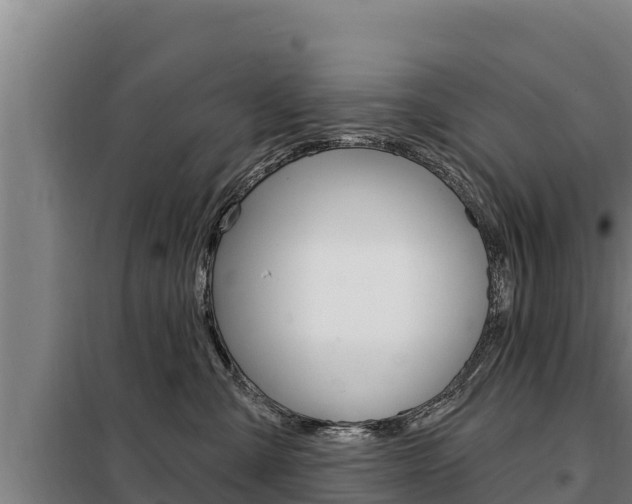 X0000098080427200804040755