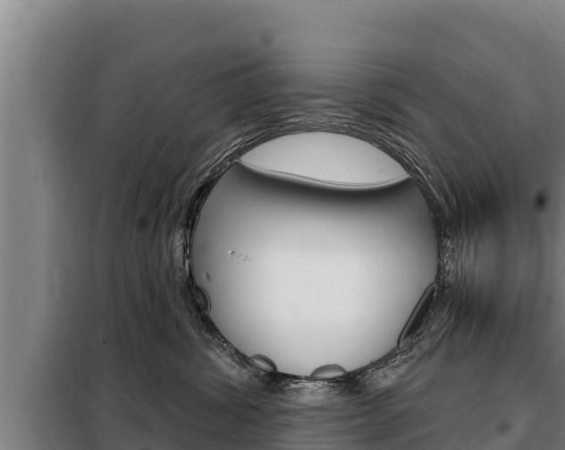 X0000098080428200804040755