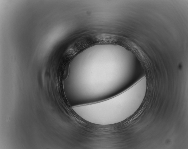 X0000098080429200804040755