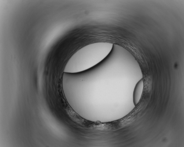 X0000098080430200804040755