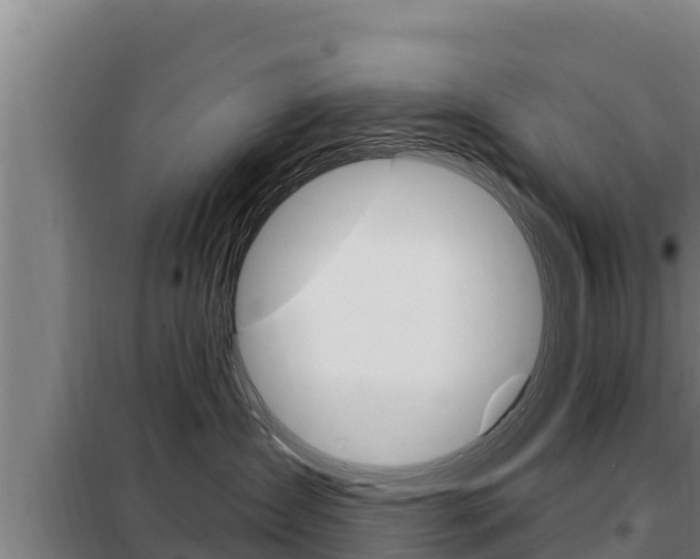 X0000098080431200804040755
