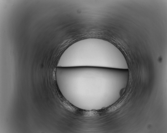 X0000098080432200804040755