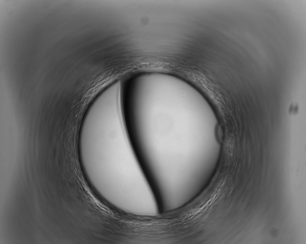 X0000098080433200804040755