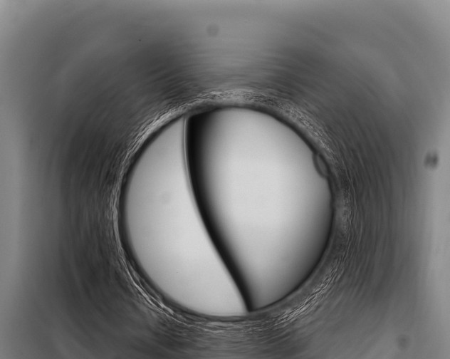 X0000098080434200804040755