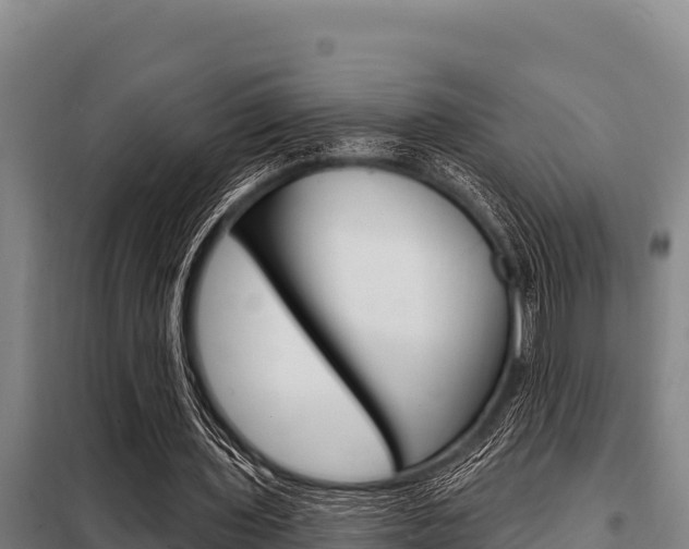 X0000098080435200804040755