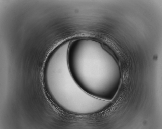 X0000098080436200804040755