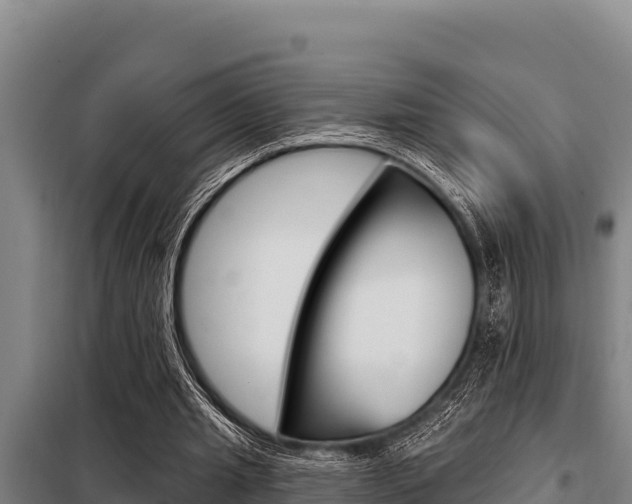 X0000098080437200804040755